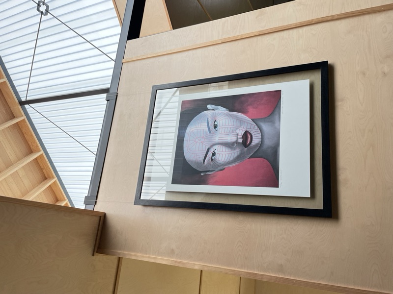 Contemporary portrait artwork on wire hanging system